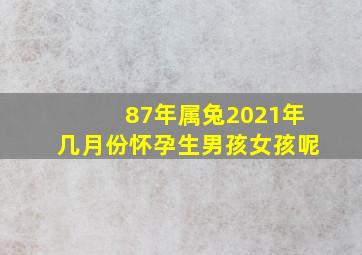 87年属兔2021年几月份怀孕生男孩女孩呢