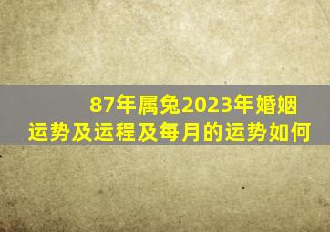 87年属兔2023年婚姻运势及运程及每月的运势如何