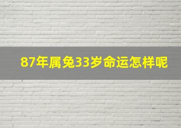 87年属兔33岁命运怎样呢