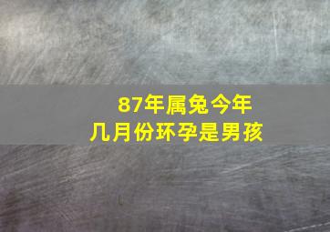 87年属兔今年几月份环孕是男孩