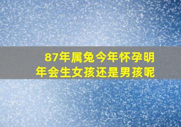 87年属兔今年怀孕明年会生女孩还是男孩呢