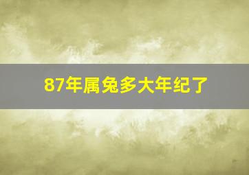 87年属兔多大年纪了