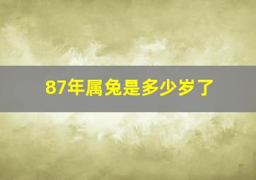 87年属兔是多少岁了