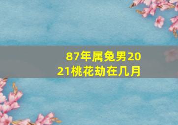 87年属兔男2021桃花劫在几月