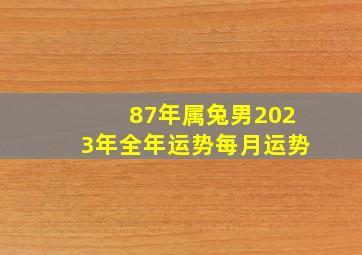 87年属兔男2023年全年运势每月运势