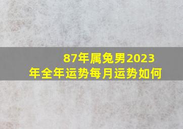 87年属兔男2023年全年运势每月运势如何