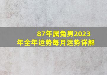 87年属兔男2023年全年运势每月运势详解