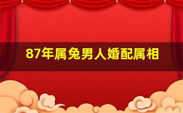 87年属兔男人婚配属相