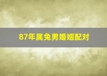 87年属兔男婚姻配对