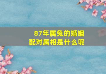 87年属兔的婚姻配对属相是什么呢