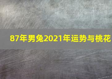 87年男兔2021年运势与桃花