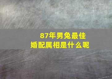 87年男兔最佳婚配属相是什么呢