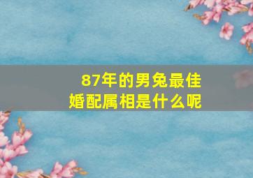 87年的男兔最佳婚配属相是什么呢