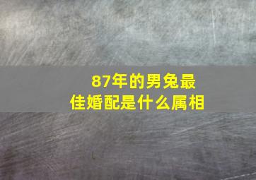 87年的男兔最佳婚配是什么属相