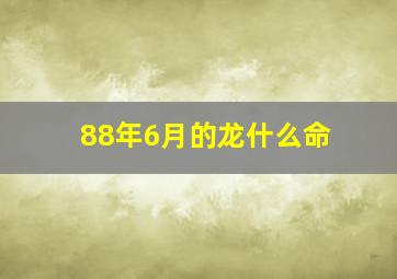 88年6月的龙什么命