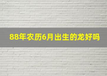 88年农历6月出生的龙好吗