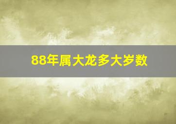 88年属大龙多大岁数