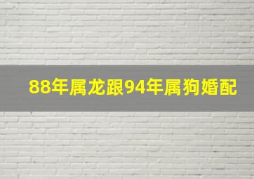 88年属龙跟94年属狗婚配