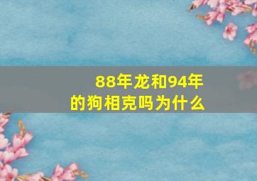 88年龙和94年的狗相克吗为什么