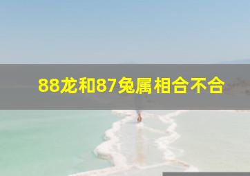 88龙和87兔属相合不合