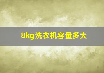 8kg洗衣机容量多大