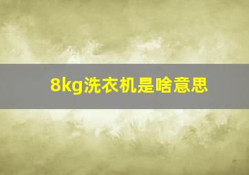 8kg洗衣机是啥意思