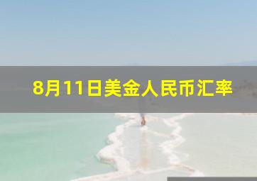 8月11日美金人民币汇率