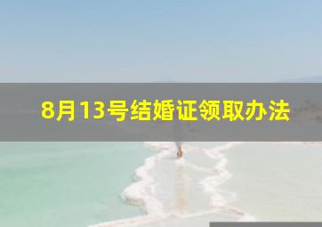 8月13号结婚证领取办法