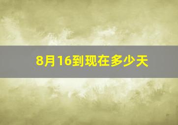 8月16到现在多少天