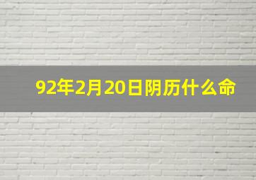 92年2月20日阴历什么命