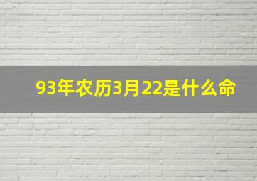 93年农历3月22是什么命