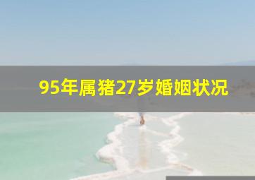 95年属猪27岁婚姻状况