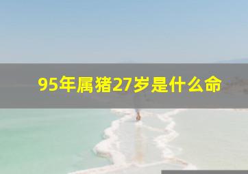 95年属猪27岁是什么命