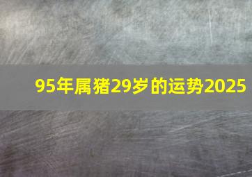 95年属猪29岁的运势2025