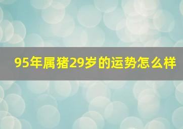 95年属猪29岁的运势怎么样