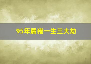 95年属猪一生三大劫