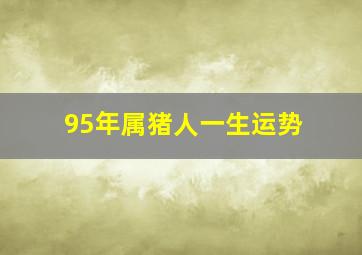 95年属猪人一生运势