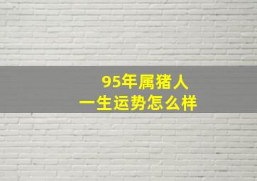 95年属猪人一生运势怎么样