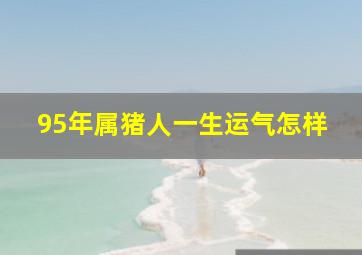 95年属猪人一生运气怎样