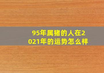 95年属猪的人在2021年的运势怎么样