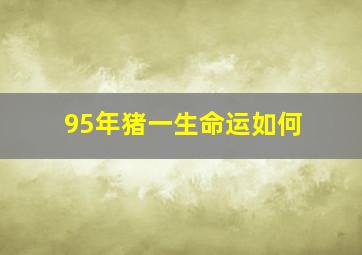 95年猪一生命运如何