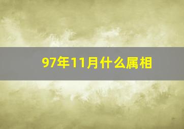 97年11月什么属相