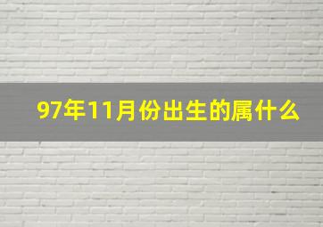 97年11月份出生的属什么