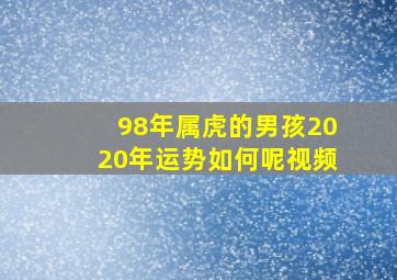 98年属虎的男孩2020年运势如何呢视频