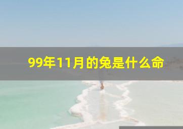 99年11月的兔是什么命