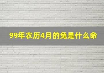 99年农历4月的兔是什么命