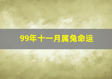 99年十一月属兔命运