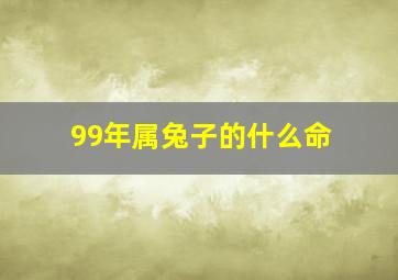 99年属兔子的什么命