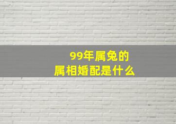 99年属兔的属相婚配是什么