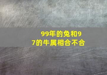 99年的兔和97的牛属相合不合